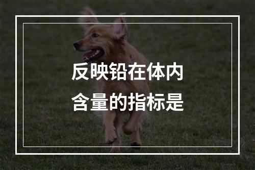 反映铅在体内含量的指标是