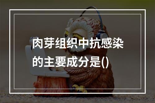 肉芽组织中抗感染的主要成分是()