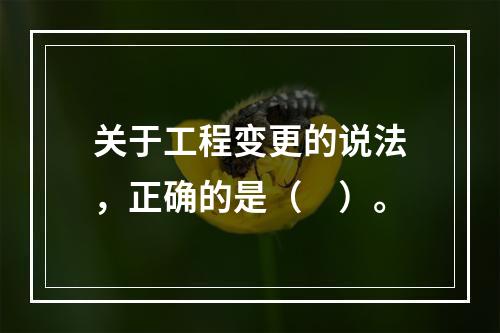 关于工程变更的说法，正确的是（　）。