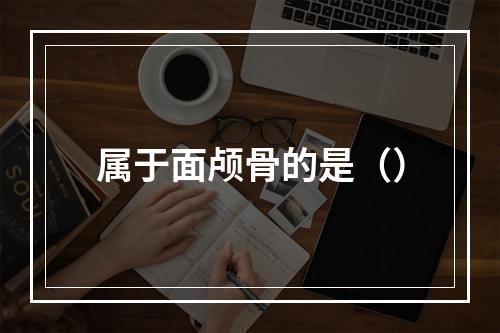 属于面颅骨的是（）