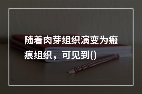 随着肉芽组织演变为瘢痕组织，可见到()