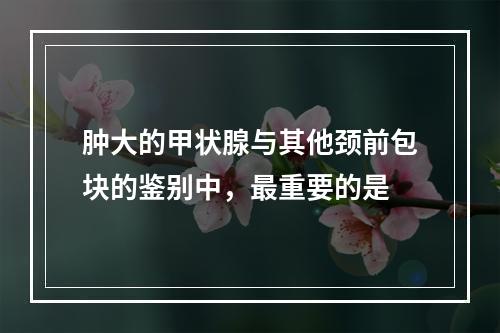 肿大的甲状腺与其他颈前包块的鉴别中，最重要的是