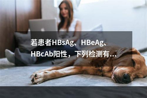 若患者HBsAg、HBeAg、HBcAb阳性，下列检测有助于