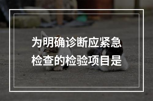 为明确诊断应紧急检查的检验项目是