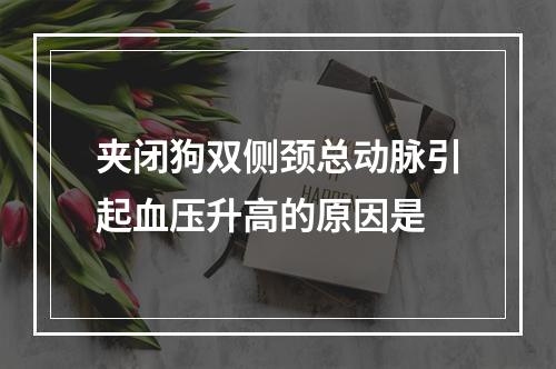 夹闭狗双侧颈总动脉引起血压升高的原因是