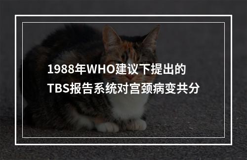 1988年WHO建议下提出的TBS报告系统对宫颈病变共分