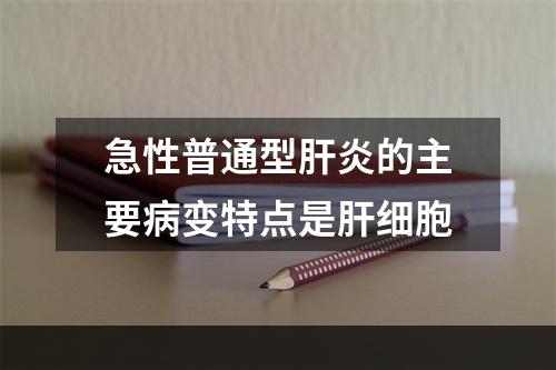 急性普通型肝炎的主要病变特点是肝细胞