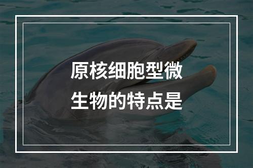 原核细胞型微生物的特点是