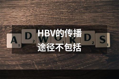 HBV的传播途径不包括