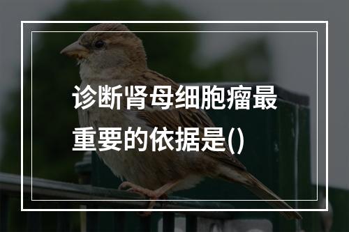 诊断肾母细胞瘤最重要的依据是()