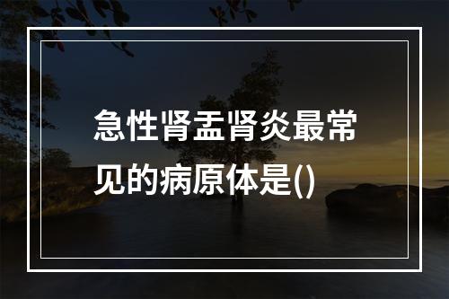 急性肾盂肾炎最常见的病原体是()