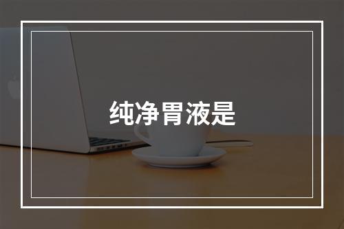 纯净胃液是