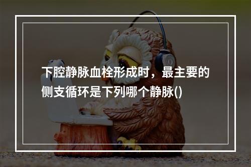 下腔静脉血栓形成时，最主要的侧支循环是下列哪个静脉()