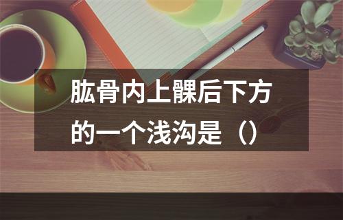 肱骨内上髁后下方的一个浅沟是（）