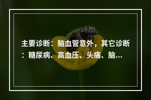 主要诊断：脑血管意外，其它诊断：糖尿病、高血压、头痛、脑出血