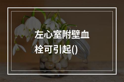 左心室附壁血栓可引起()