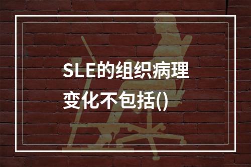 SLE的组织病理变化不包括()