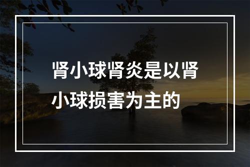 肾小球肾炎是以肾小球损害为主的