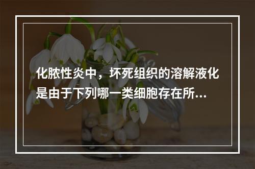 化脓性炎中，坏死组织的溶解液化是由于下列哪一类细胞存在所致(