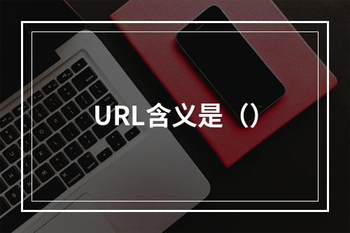 URL含义是（）