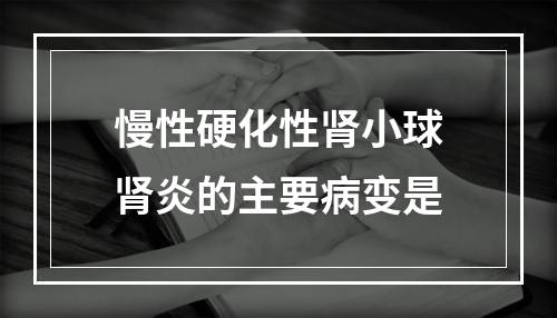 慢性硬化性肾小球肾炎的主要病变是