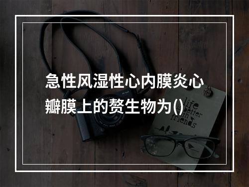 急性风湿性心内膜炎心瓣膜上的赘生物为()