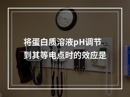 将蛋白质溶液pH调节到其等电点时的效应是