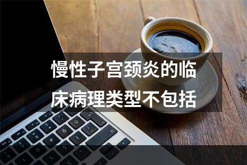 慢性子宫颈炎的临床病理类型不包括