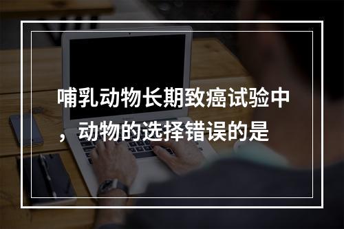 哺乳动物长期致癌试验中，动物的选择错误的是