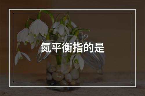 氮平衡指的是