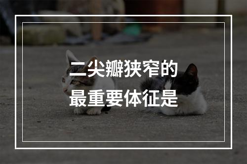 二尖瓣狭窄的最重要体征是