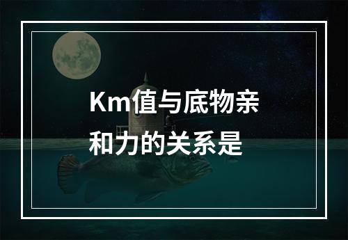 Km值与底物亲和力的关系是