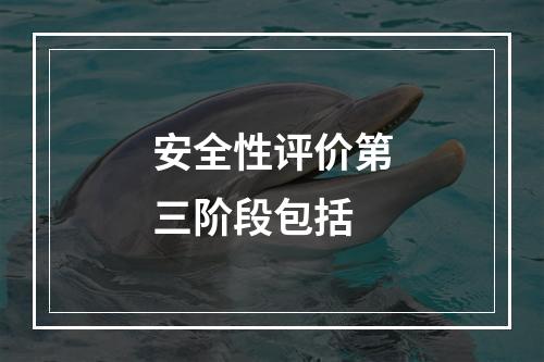 安全性评价第三阶段包括