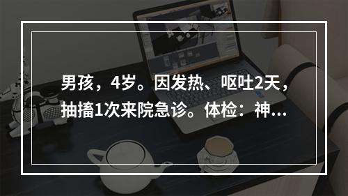 男孩，4岁。因发热、呕吐2天，抽搐1次来院急诊。体检：神萎，