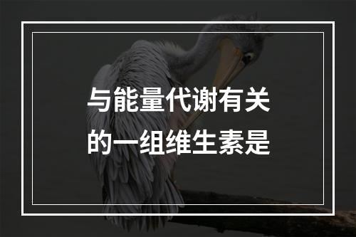 与能量代谢有关的一组维生素是