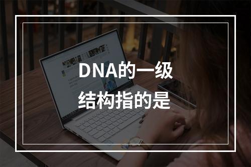 DNA的一级结构指的是