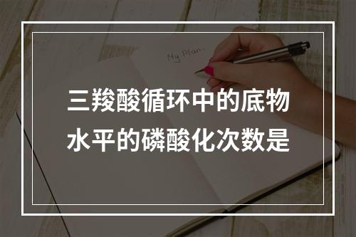 三羧酸循环中的底物水平的磷酸化次数是