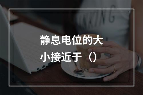 静息电位的大小接近于（）