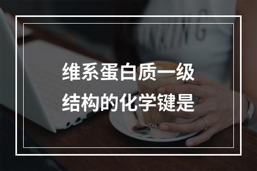 维系蛋白质一级结构的化学键是