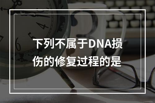 下列不属于DNA损伤的修复过程的是