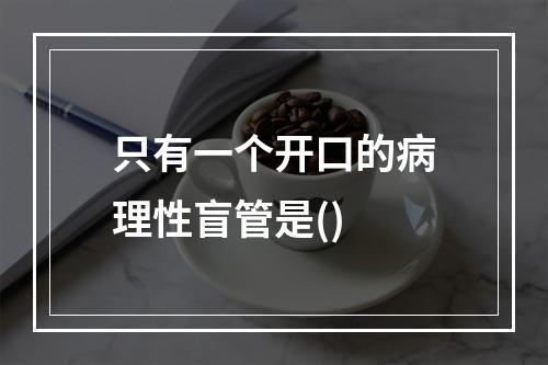 只有一个开口的病理性盲管是()