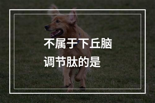 不属于下丘脑调节肽的是