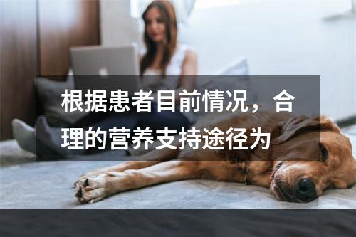 根据患者目前情况，合理的营养支持途径为