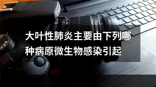 大叶性肺炎主要由下列哪种病原微生物感染引起