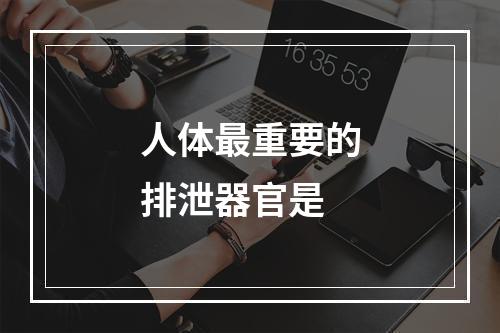 人体最重要的排泄器官是