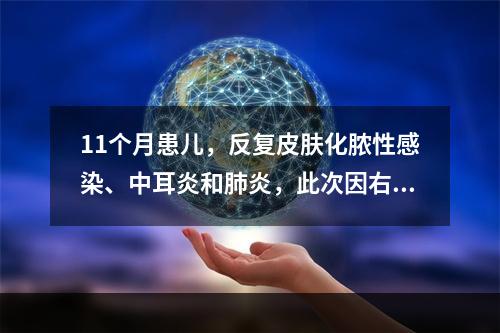 11个月患儿，反复皮肤化脓性感染、中耳炎和肺炎，此次因右耳后