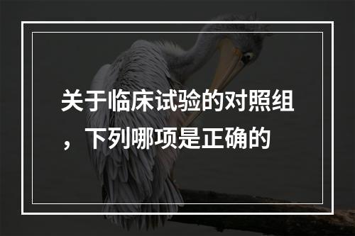 关于临床试验的对照组，下列哪项是正确的