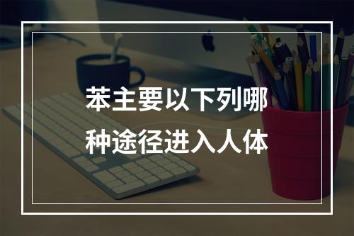 苯主要以下列哪种途径进入人体