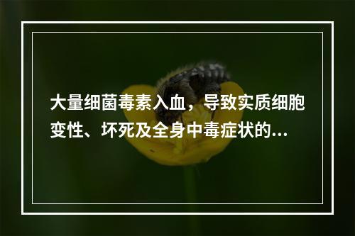 大量细菌毒素入血，导致实质细胞变性、坏死及全身中毒症状的称(