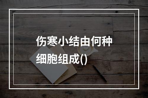 伤寒小结由何种细胞组成()